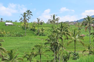 Why I Will Not Visit Bali Again