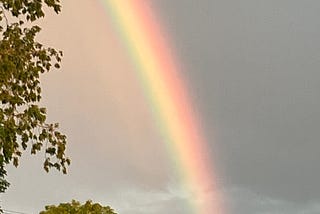 rainbow rantings