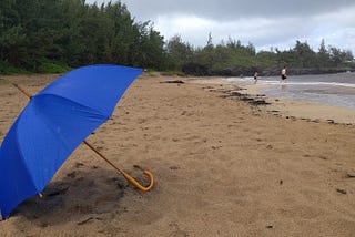 Oops, or a Near Death Adventure in Hawaii