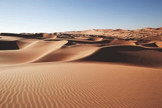 The Illusion In The Sand―The Real United Arab Emirates