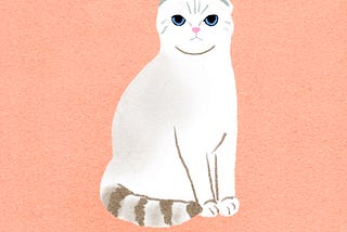 I Hired a Therapist to Love My Cat