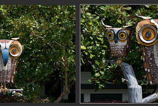 Your Full-Frame Sensor Has More Reach Than You May Realize