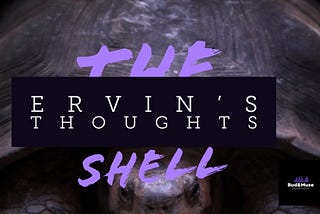 The Shell III