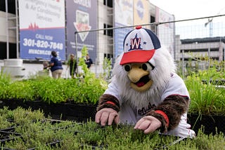 Washington Nationals highlight year-long green efforts on Earth Day