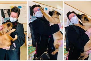 Three photos of me (a white female with short brown hair, a mask, and reddish gold round glasses) holding a squirmy German Shepherd mix puppy. In the first photo, he is curled up in a ball, nibbling on the straps of my purse. In the middle photo, his left paw is placed squarely on my left temple while his tongue sticks out. On the right, he is kissing my left cheek while I laugh. I am wearing a black wool coat, scarf, backpack, and purse with pink and gold accents w/ animal posters behind me.