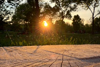 A serene outdoor scene during sunset. The sun is partially obscured by trees, creating a beautiful sunburst effect with rays of light spreading out. The foreground features a wooden surface, possibly a bench or table, with visible grain and texture. The background includes lush green grass and trees, with some people faintly visible in the distance, enjoying the park. The overall atmosphere is peaceful and warm, capturing the essence of a tranquil evening in nature.