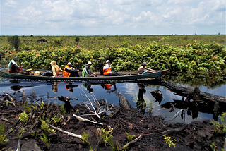 MCC’s Peatland Portfolio in Indonesia provides insights on how countries can prevent devastating…