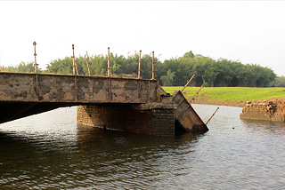 Musings of a Naturalist — submerged worlds