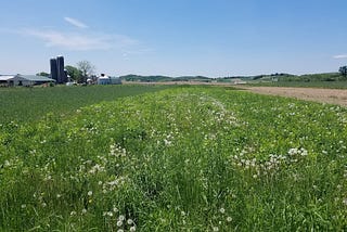 Can Organic Feed the World? Rodale Institute’s Long-Term Study Says Yes!