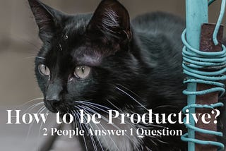 How to be Productive? 2 Different People Answer This Question