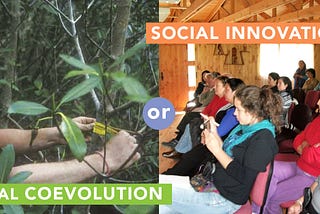 Social Innovation or Natural Coevolution?