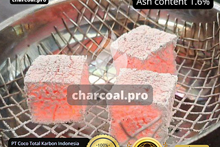 Hookah coals cube 25 mm
After 30 minutes of burning
Ash content 1.6%