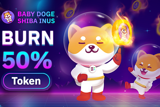 Burn 50% Token