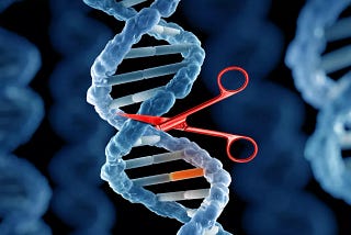 What are the Ethical Concerns of Genome Editing?