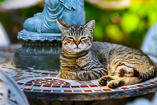 A tabby cat lies on a tiled table outdoors with front paws folded in front and eyes squinted
