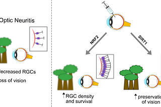 Focusing in on novel gene therapies for optic neuritis