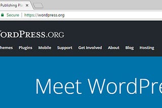 Things to remember while developing WordPress based website