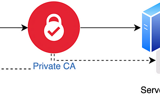 How to set up Private CA and use the certificates issued by Private CA ?