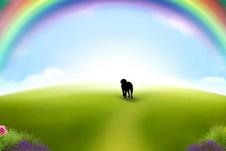 A dog heading to the rainbow bridge in the afterlife.