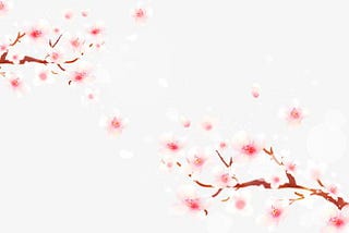 The Return of the Cherry Blossoms