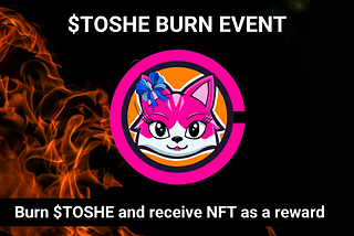 $Toshe Community burn event
