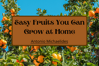 Easy Fruits You Can Grow at Home | Antonio Michaelides | Food & Drink