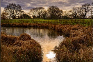 The Man in the Marsh