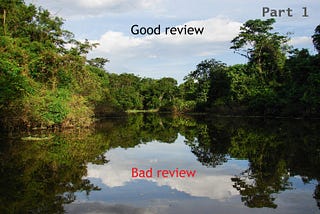 The forest of amazon reviews, part 1 (an NLP story)