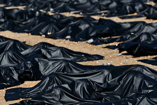rows of bulky black body bags lying on the dirt