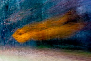 Slowing down to take better photos (and other stuff)