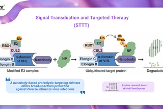 Nb-PROTAC Enables a Broad-Spectrum Breakthrough Against Influenza A