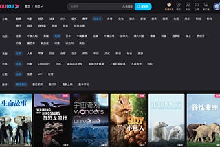 A foreign designer’s ultimate guide to Chinese Internet
