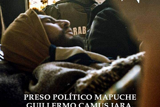 Por qué como anarquistas apoyamos la lucha autónoma del pueblo mapuche