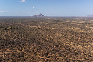 From Colombia to Mozambique: The cost of “green” investment
