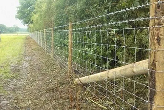 Reasons for Using Net Fencing in Agricultural Sector