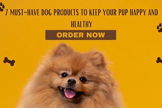 7 Must-Have Dog Products to Keep Your Pup Happy and Healthy