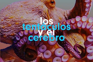 Los tentáculos y el cerebro