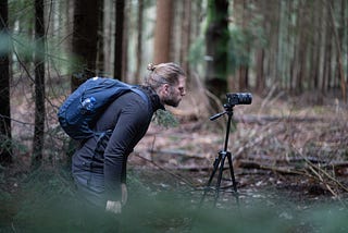 Tripods and Woodland Photography: the Pro’s and Con’s