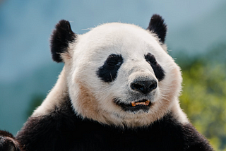 20 Useful Pandas Snippets for Efficient Data Manipulation