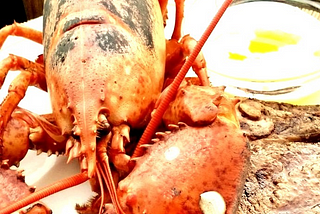 Boiled Lobster — Seafood