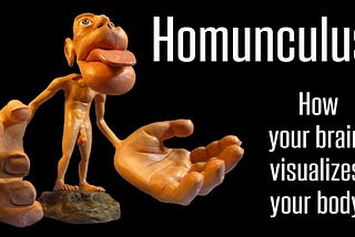 Homunculus