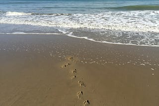 Beautiful beach and said photo — taken in Abu Dhabi.