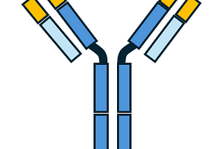 Antibodies