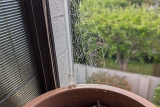 there’s a cobweb on the window and it’s telling me I suck