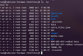 Install RHEL 8.3 on IBM POWER9 using petitboot