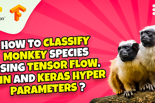 How to classify monkeys images using convolutional neural network , Keras tuner hyper parameters …