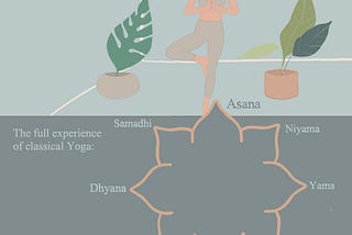 What Is Yoga?