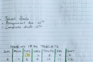 Page showing a monthly log set up for a bullet journal