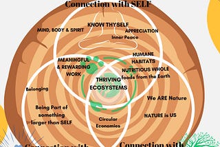 Regenerative Education: Learning that Heals and Connects- KIDS VERSION