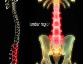 5 Powerful Yoga Asanas to Relieve Lower Back Pain Naturally (Forward Bending Pain)